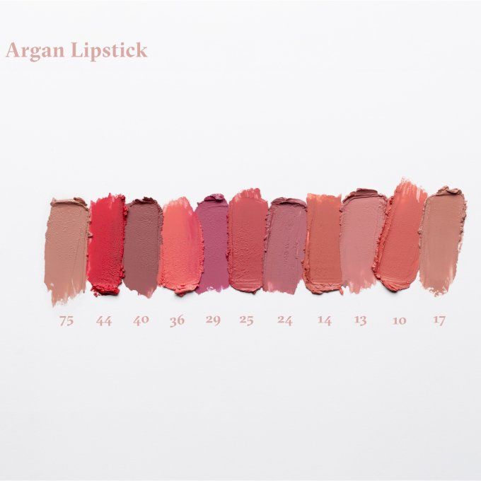 Rouge à lèvres à l'huile d'argan  - 4.3 g - PAESE - Teinte 46
