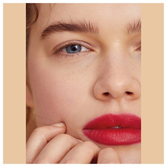 Rouge à lèvres à l'huile d'argan  - 4.3 g - PAESE - Teinte 33