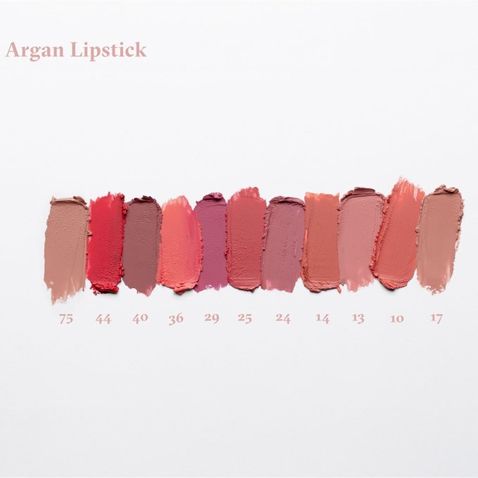 Rouge à lèvres à l'huile d'argan  - 4.3 g - PAESE - Teinte 46